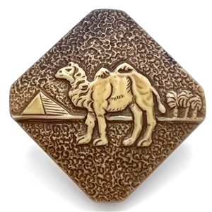 Celluloid button of a camel with pyramid and palms.
