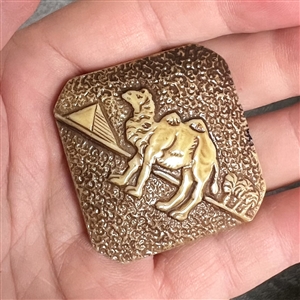 Celluloid button of a camel with pyramid and palms.
