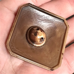 Celluloid button of a camel with pyramid and palms.