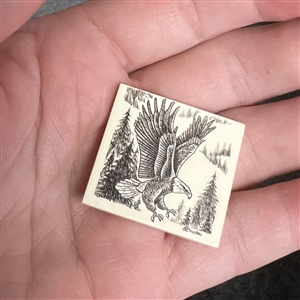 Scrimshaw on plastic of a flying eagle by L. Layden.