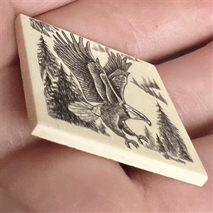 Scrimshaw on plastic of a flying eagle by L. Layden.