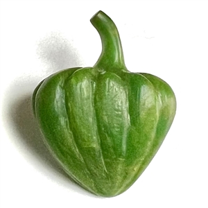 Carved Bakelite studio button of a green pepper by Beau.