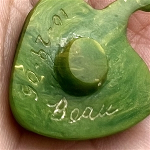 Carved Bakelite studio button of a green pepper by Beau.