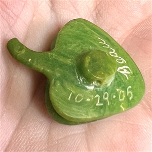 Carved Bakelite studio button of a green pepper by Beau.