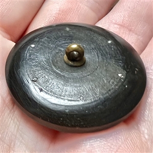 Div I - engine turned dogwood button with faceted steel rosettes.