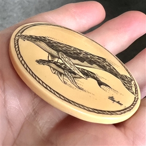 Scrimshaw on plastic of a mother whale and her calf by L. Layden.