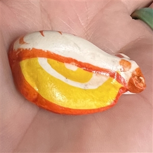 ADORABLE ceramic snail studio button by Diane Ford.
