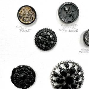 Card of 13 - Div. I black glass buttons.