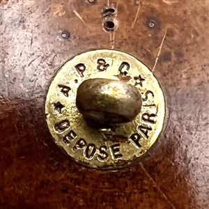 Div I  - pressed wood button of cute spaniel face in foliage. 