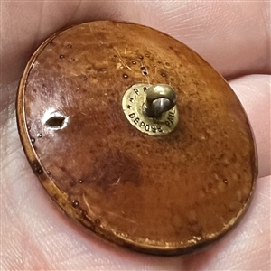 Div I  - pressed wood button of cute spaniel face in foliage. 