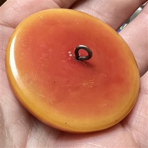 DELUXE Egyptian celluloid button with silvered brass Queen's head.