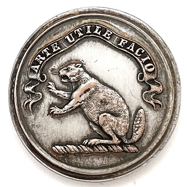 RARE beaver Livery crest button. 
