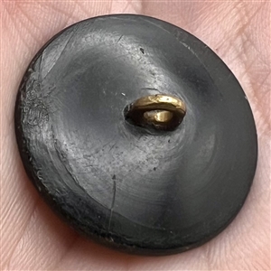 RARE paper maché (?) sporting button with brass hunting dog.