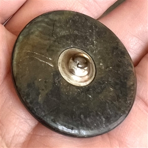 A 19th c. Incised pearl button of plant life. 