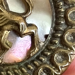 A 19th c. pearl background button in brass with rampant lion.