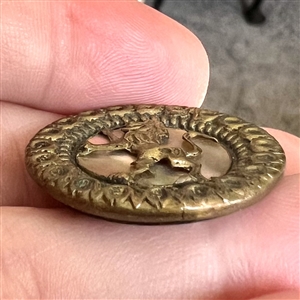 A 19th c. pearl background button in brass with rampant lion.