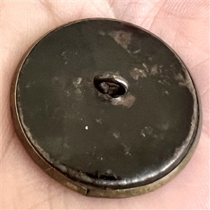 A 19th c. pearl background button in brass with rampant lion.