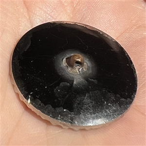 A 19th c. black glass button of a star with silver luster.