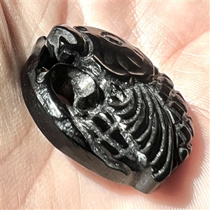 Pierced casein button of a realistic fish. 