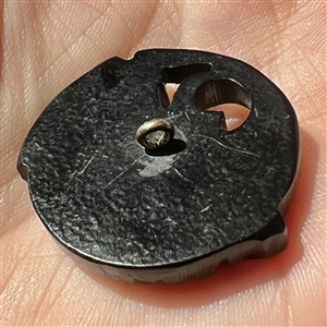 Pierced casein button of a realistic fish. 