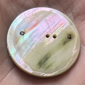 United carved abalone over lavender color shell button of a landscape scene.