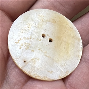 Pearl button of music - a harp, musical staff with notes and a singing bird.