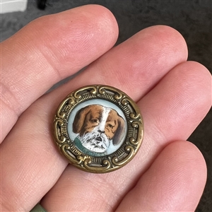 Porcelain in metal button of a dog's face.