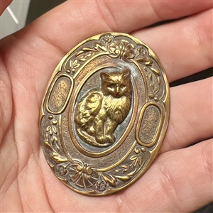 Ashlee button of a cat.