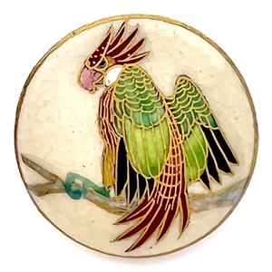 Satsuma button of a parrot. 