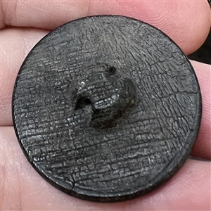 FABULOUS horn button of a mermaid under water with fish. 