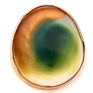 Operculum shell set in metal button. 