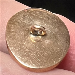 Operculum shell set in metal button. 