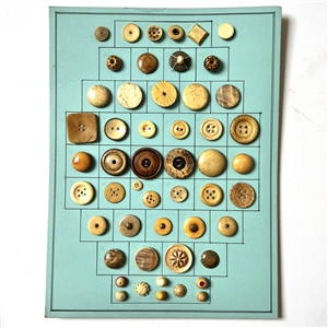 Card of fifty one old bone buttons.