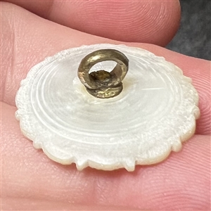 A medium size 18th c. Carved pearl button with gilded metal center.