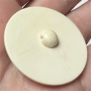 Incised and inked natural material button an ox. 
