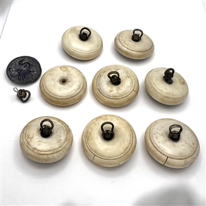 Set of eight buttons of peacocks - Japanese metal work set in natural material.