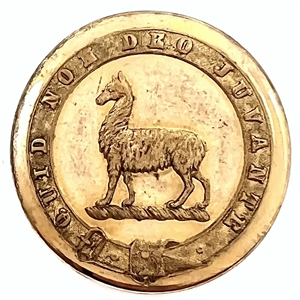 RARE subject - Llama Livery crest button. 