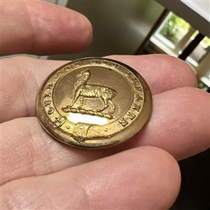 RARE subject - Llama Livery crest button. 
