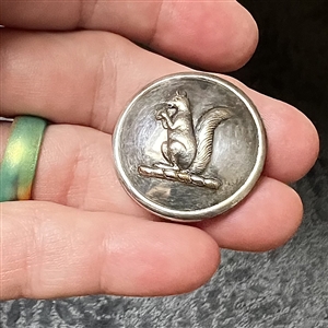 Silvered copper Livery button of a squirrel eating a nut. 