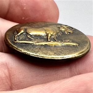 Exotic sporting button of a gnu (African antelope).
