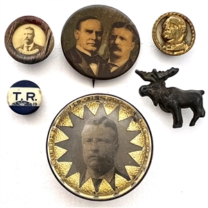 Six Teddy Roosevelt commemoratives -  pins, studs and a bridal rosette.