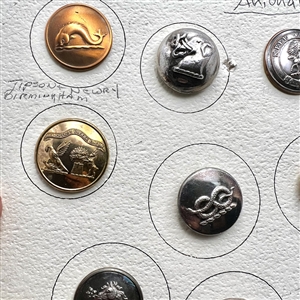 Card of 14 Livery crest buttons. 