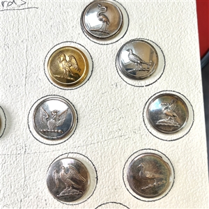 Card of 14 Livery crest bird buttons. 