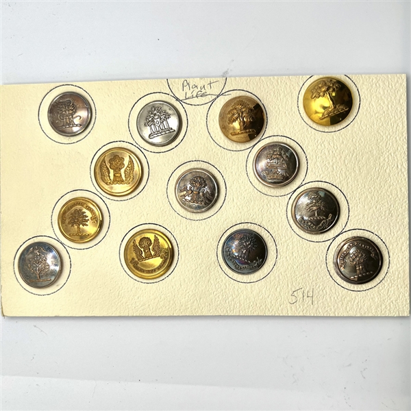 Card of 13 Livery crest  plant life & tree buttons. 