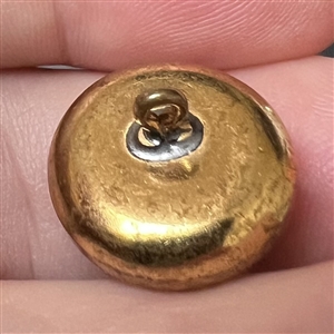 Working compass button. 