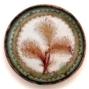 An 18th c. Reverse painted feathers under glass with foil background button.