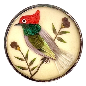 Bird button with real bird feathers and plant parts over pearl under glass with metal rim. 