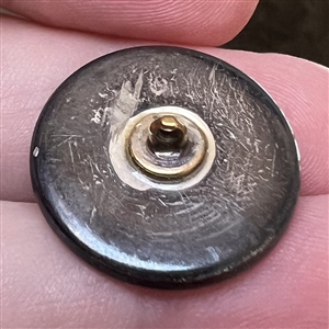Bird button with real bird feathers and plant parts over pearl under glass with metal rim. 