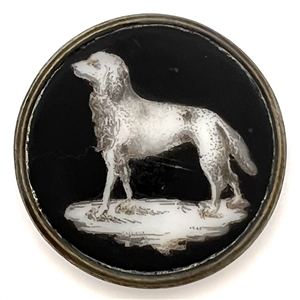 RARE Liverpool transfer on porcelain button of a dog.