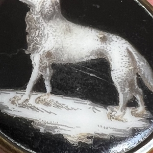 RARE Liverpool transfer on porcelain button of a dog.